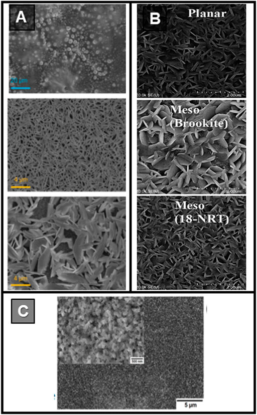 Seed‐Mediated Growth of Colloidal Metal Nanocrystals - Xia - 2017 -  Angewandte Chemie International Edition - Wiley Online Library