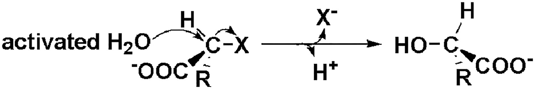www.frontiersin.org