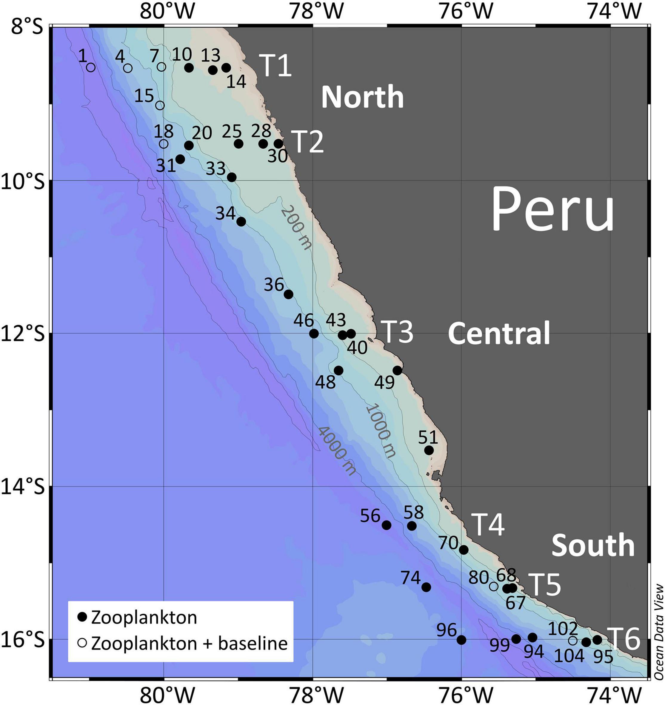 Frontiers Toward A Solution Of The Peruvian Puzzle Pelagic Food Web Structure And Trophic Interactions In The Northern Humboldt Current Upwelling System Off Peru