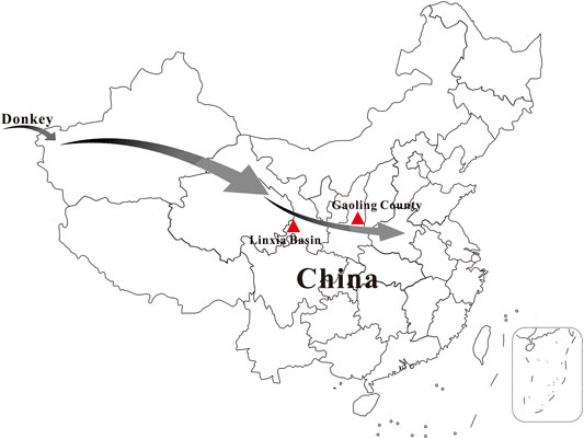 www.frontiersin.org
