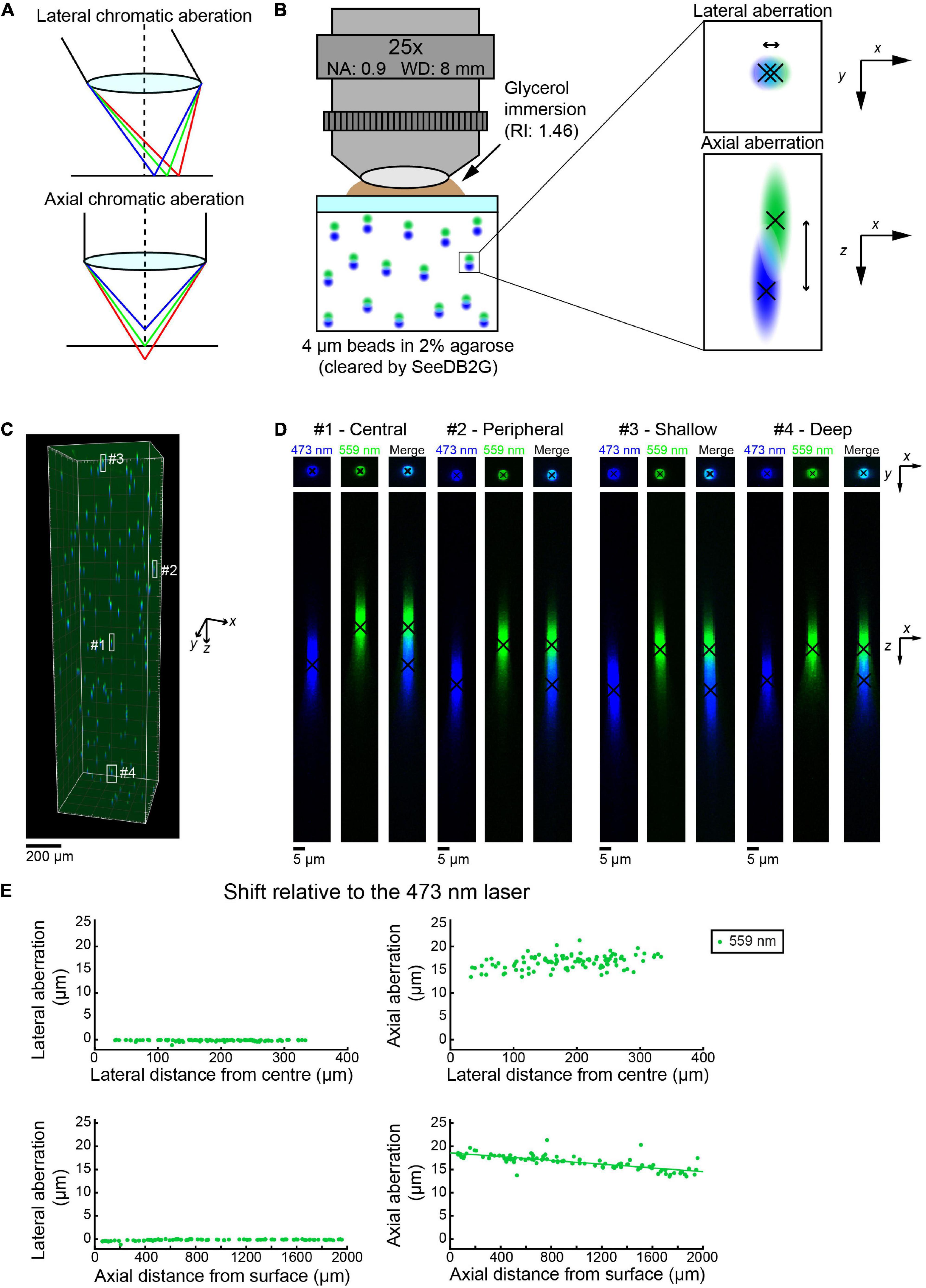 frontiers-post-hoc-correction-of-chromatic-aberrations-in-large-scale-volumetric-images-in