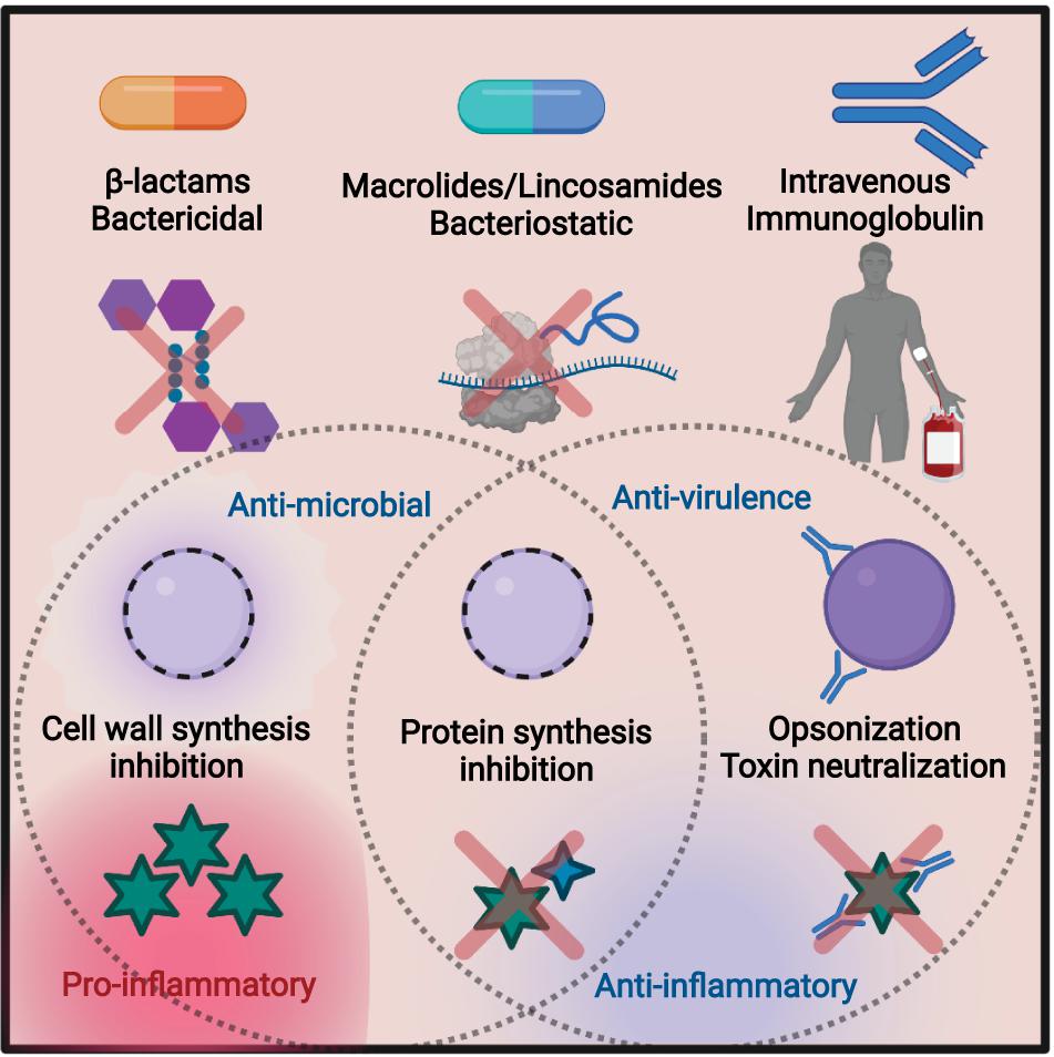 Frontiers  Antibiotic Treatment, Mechanisms for Failure, and Adjunctive  Therapies for Infections by Group A Streptococcus