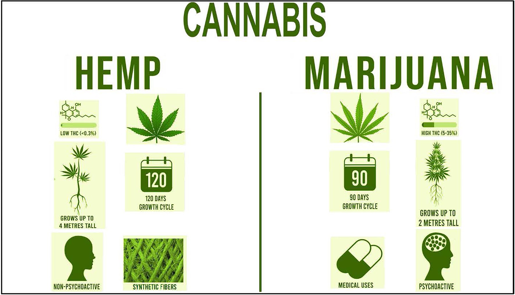 New Cannabis Scales Have 10, 20 or 50 Milligram Precision. From: Detecto