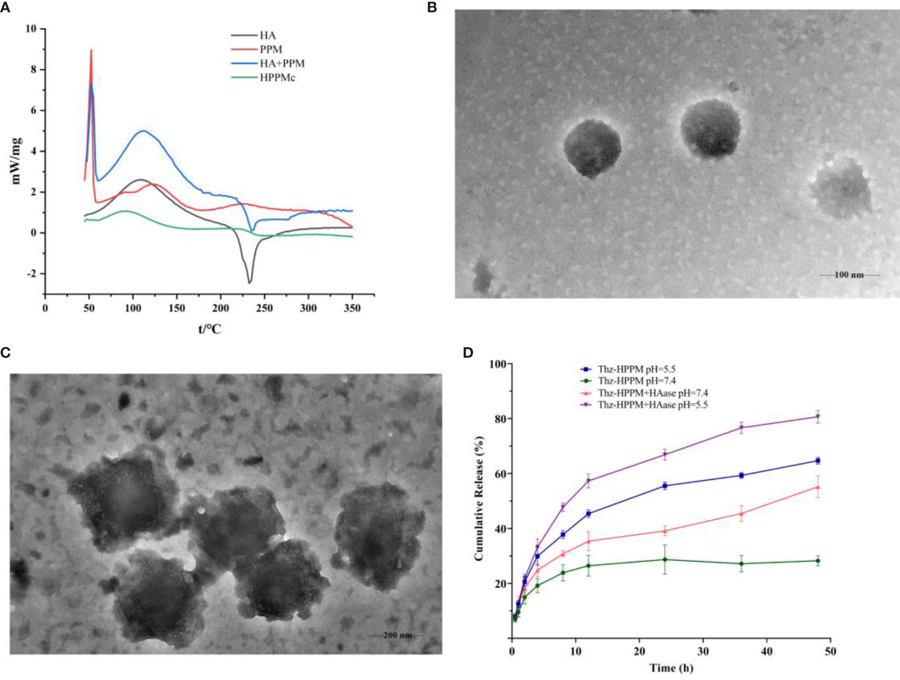 Frontiers Hyaluronidase And Ph Dual Responsive Nanoparticles For Targeted Breast Cancer Stem Cells