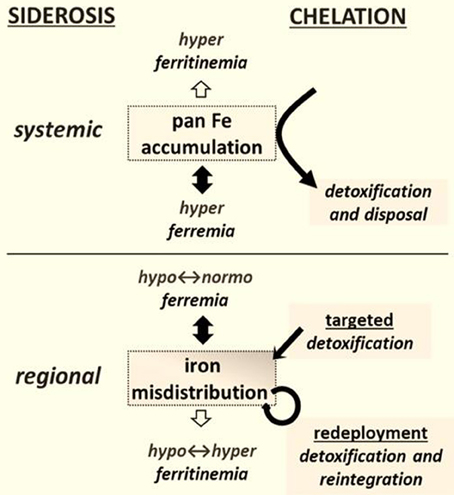 www.frontiersin.org