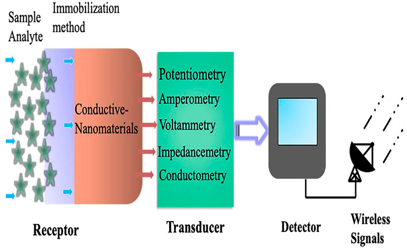 Multifunctional Biosensors Made with Self-Healable Silk Fibroin