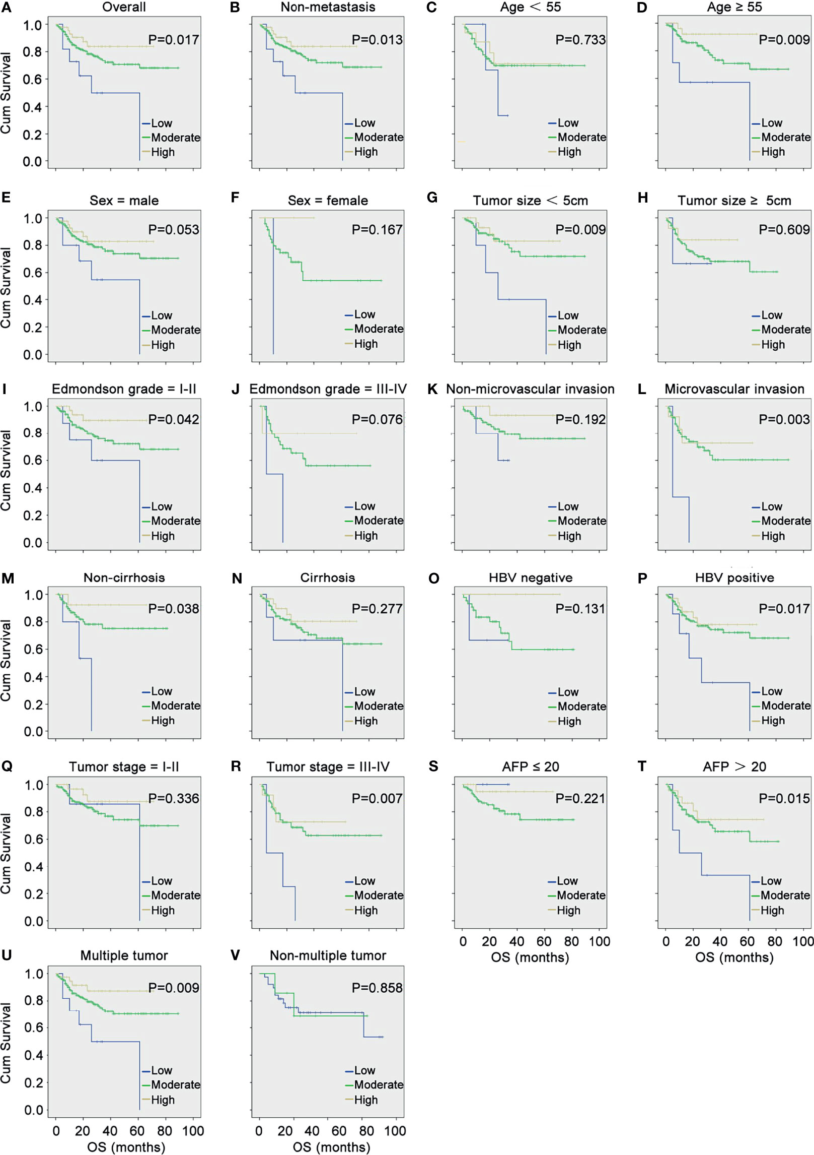 Clinicopathological Characteristics and Prognosis of 91 Patients