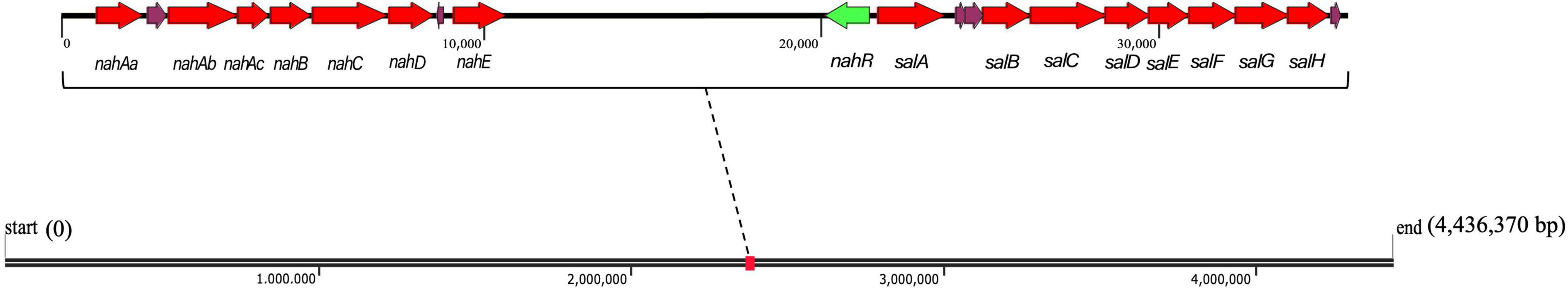 www.frontiersin.org