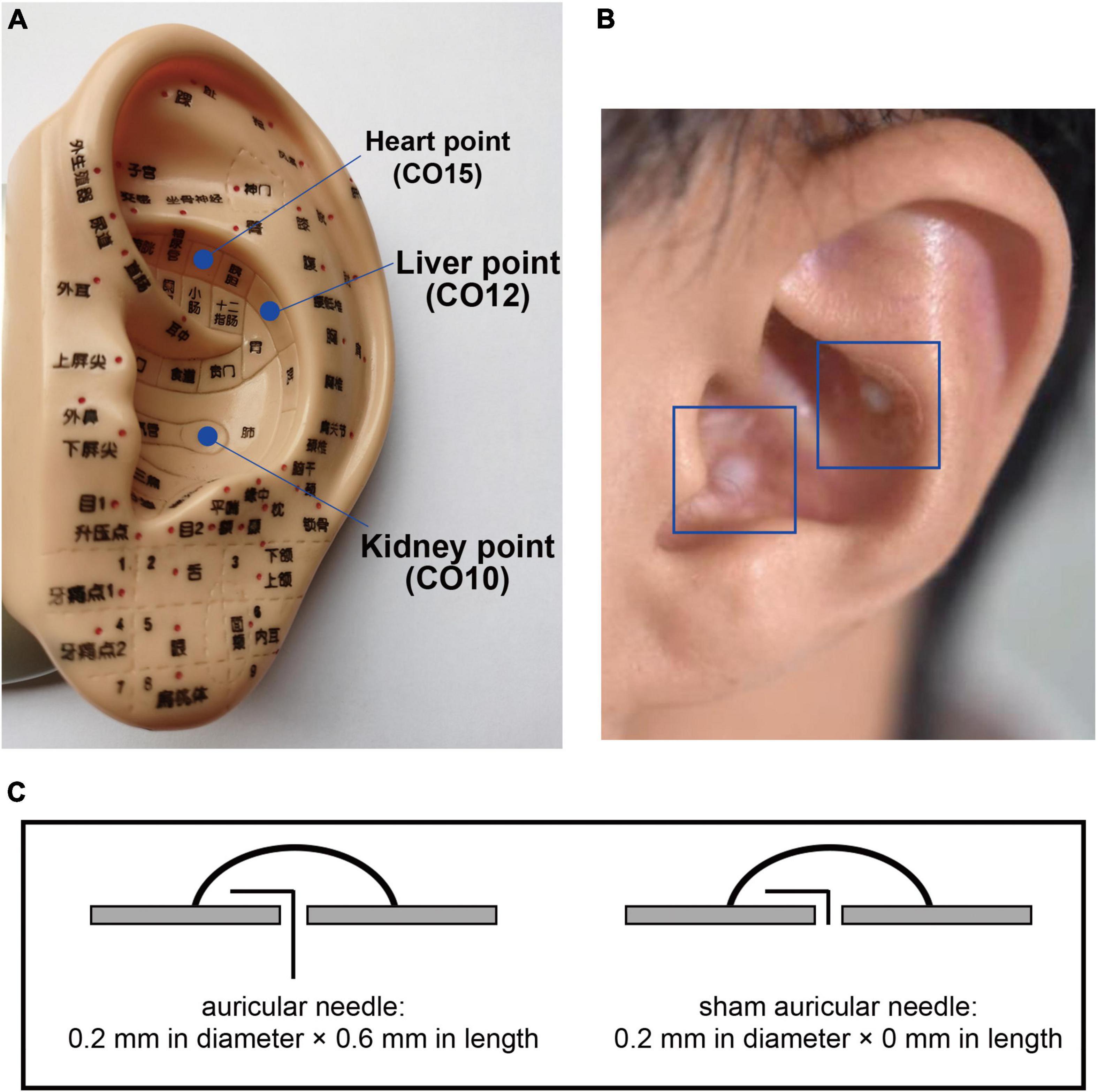 piercing party two (sk)