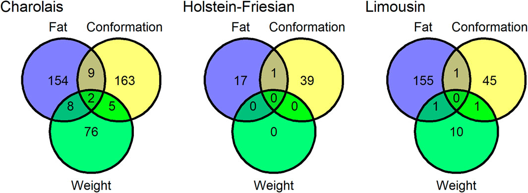 www.frontiersin.org