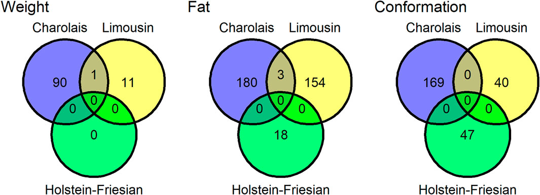 www.frontiersin.org