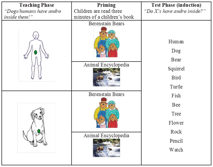 Frontiers | Humans (really) are animals: picture-book reading influences  5-year-old urban children's construal of the relation between humans and  non-human animals