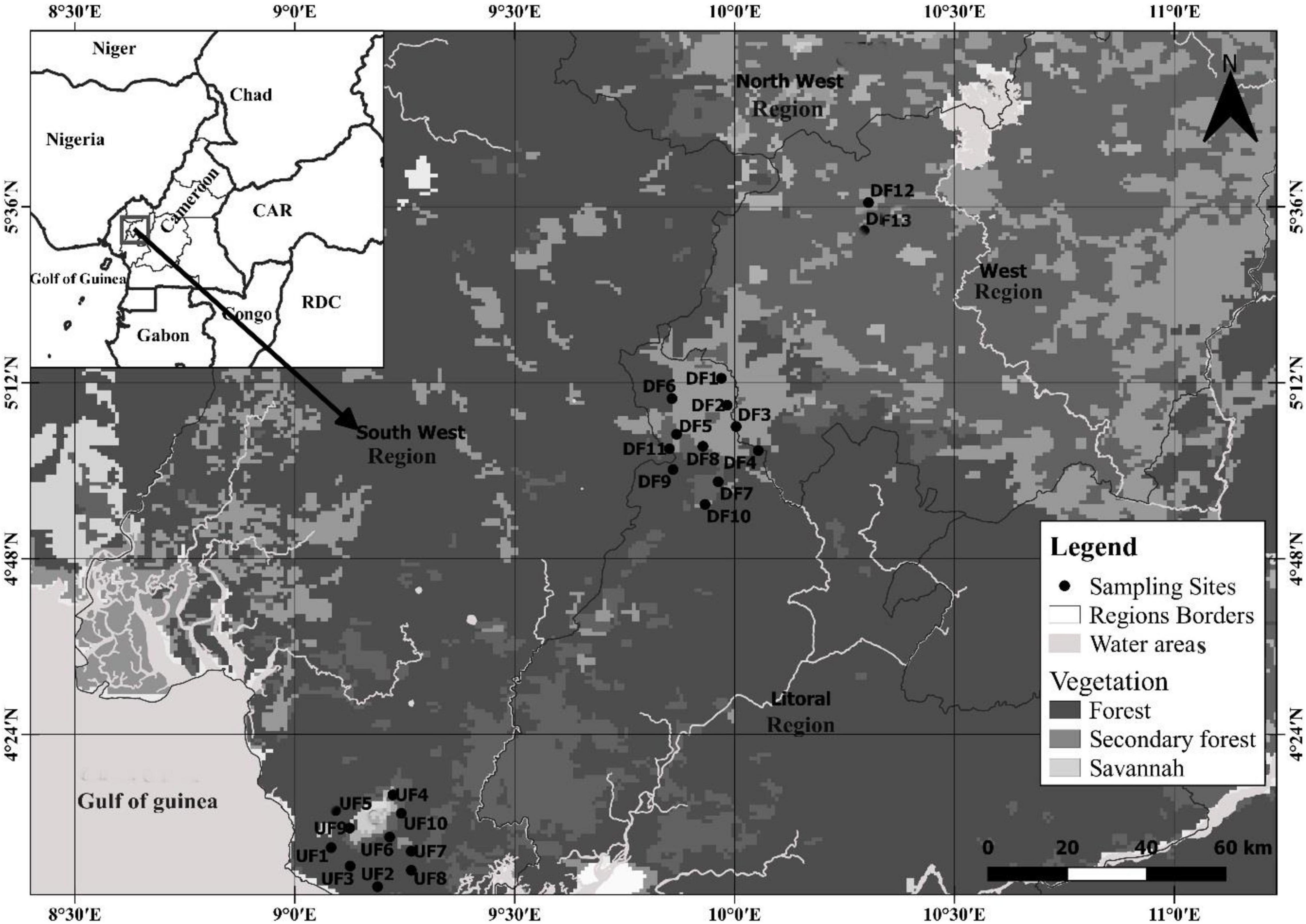 Frontiers  Ecosystems Services Provided by Bats Are at Risk in Brazil