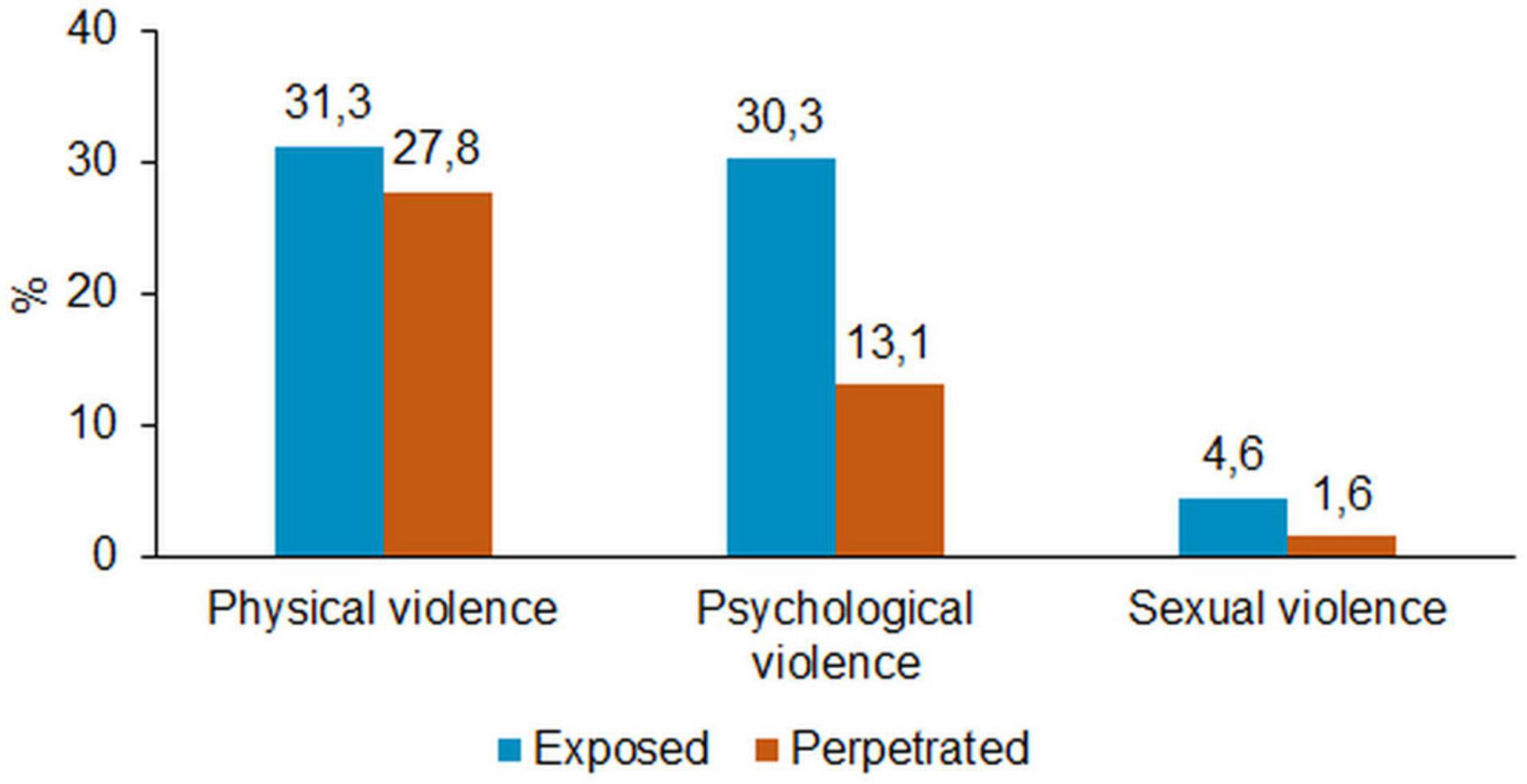 Locations for victimization, age and gender of perpetrator(s) for