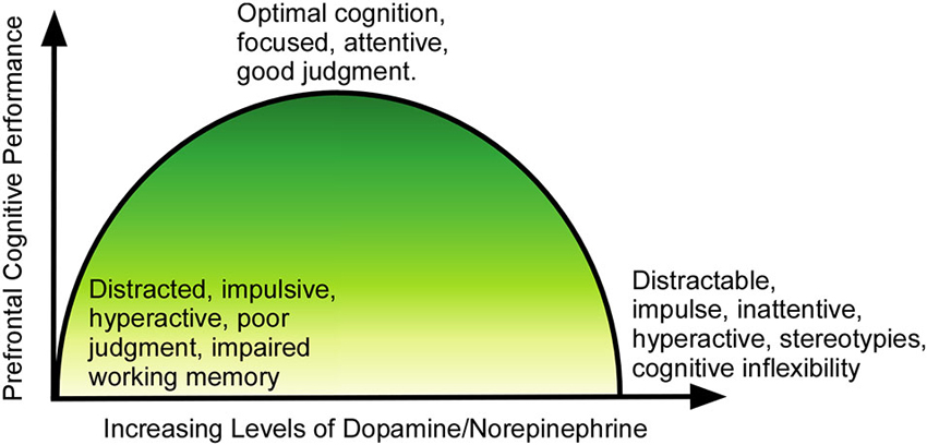 Focused attention. Картинки inattentive. Increases Energy Levels. A Level is increasing. Transformation-induced plasticity Steels.