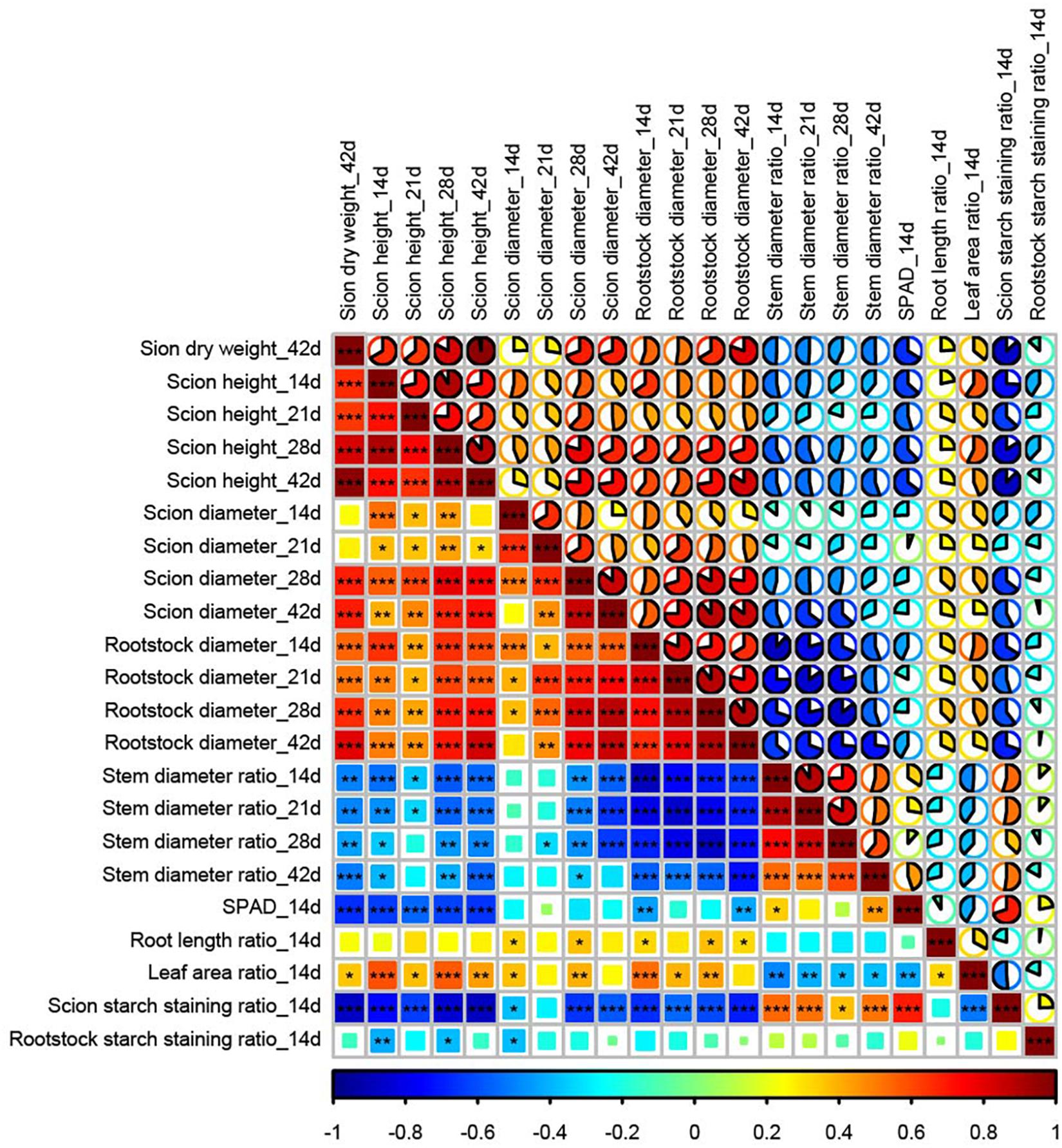 Frontiers Compatibility Evaluation and Anatomical Observation of
