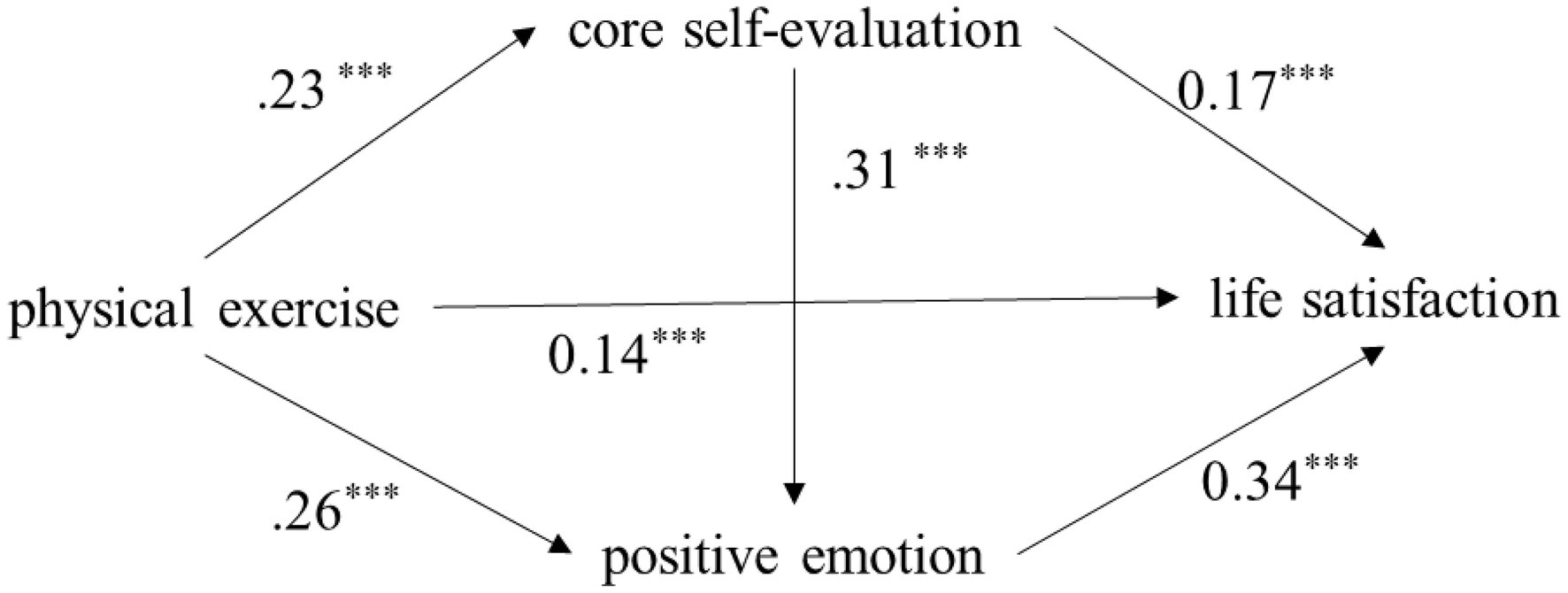 Frontiers The Influence of Chinese College Students Physical Exercise on Life Satisfaction The Chain Mediation Effect of Core Self-evaluation and Positive Emotion