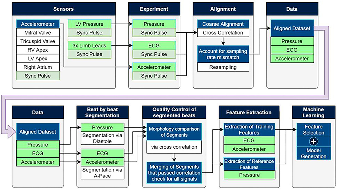 Frontiers  Left Ventricular Pressure Estimation Using Machine  Learning-Based Heart Sound Classification