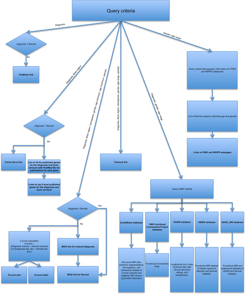 Frontiers | Structure-centered portal for child psychiatry research