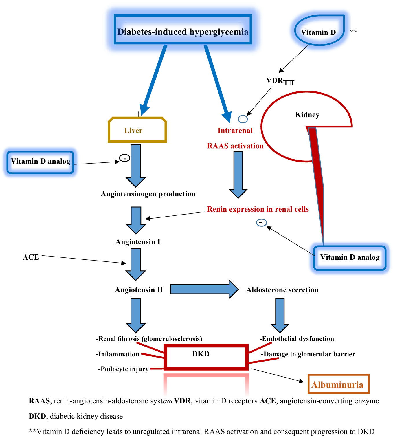 Supplementation with vitamin D and its analogs for treatment of endothelial  dysfunction and cardiovascular disease – ScienceOpen