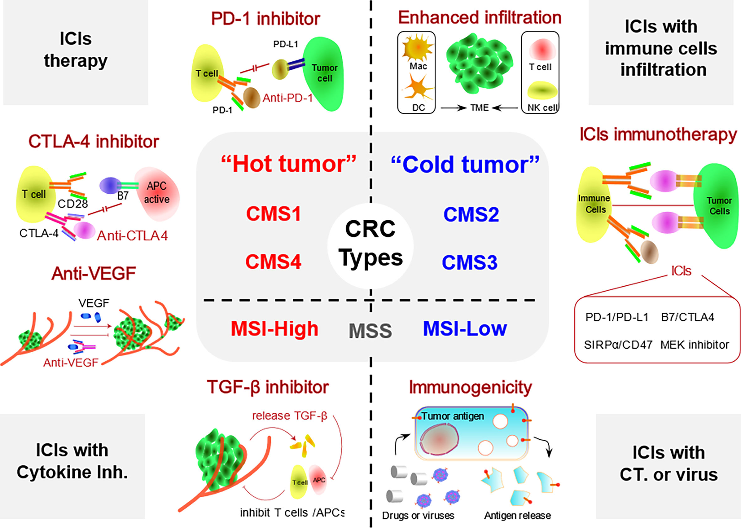 Frontiers Progress In The Application Of Immune Checkpoint Inhibitor