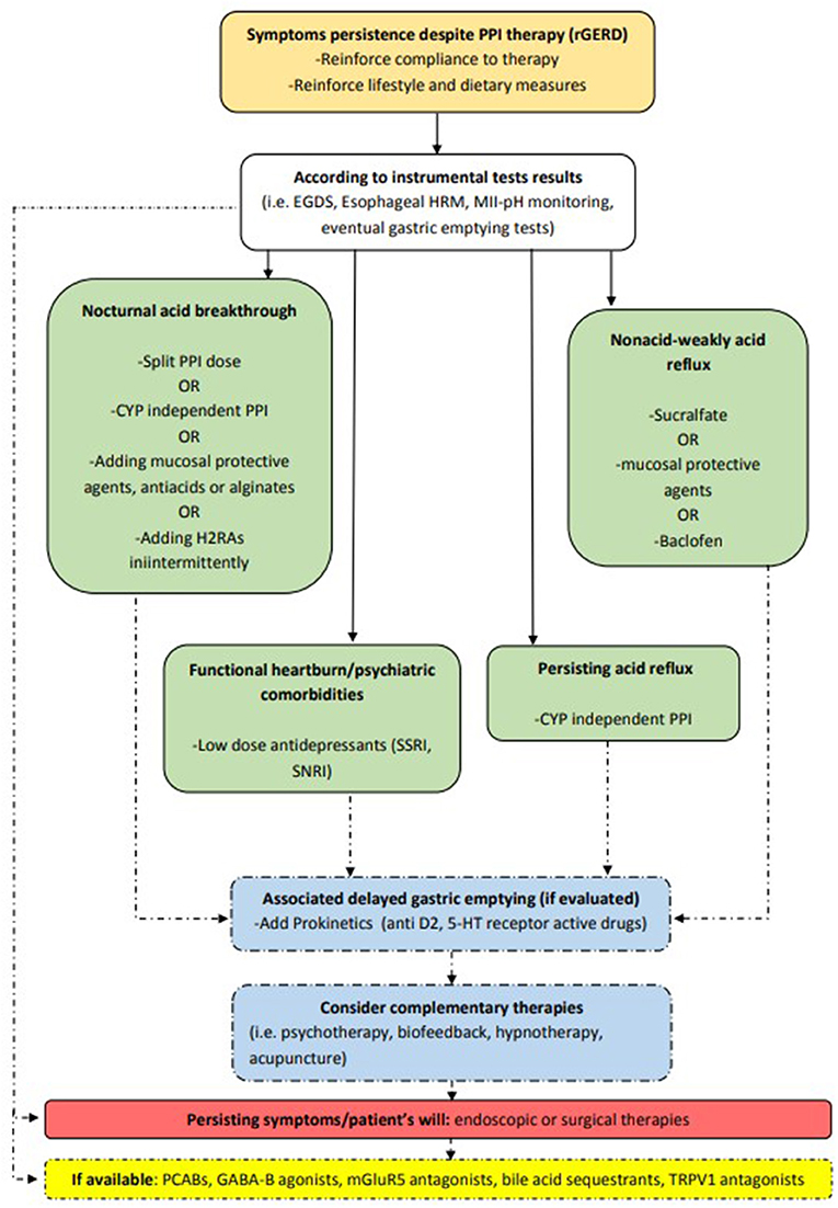 Multi-Society Consensus Conference and Guideline on the Treatment of  Gastroesophageal Reflux Disease (GERD) - A SAGES Publication