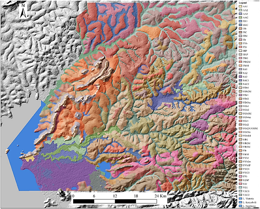 www.frontiersin.org