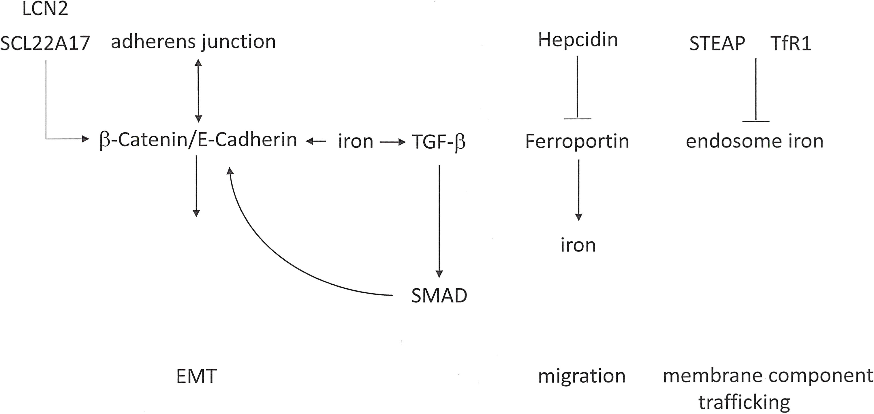 www.frontiersin.org