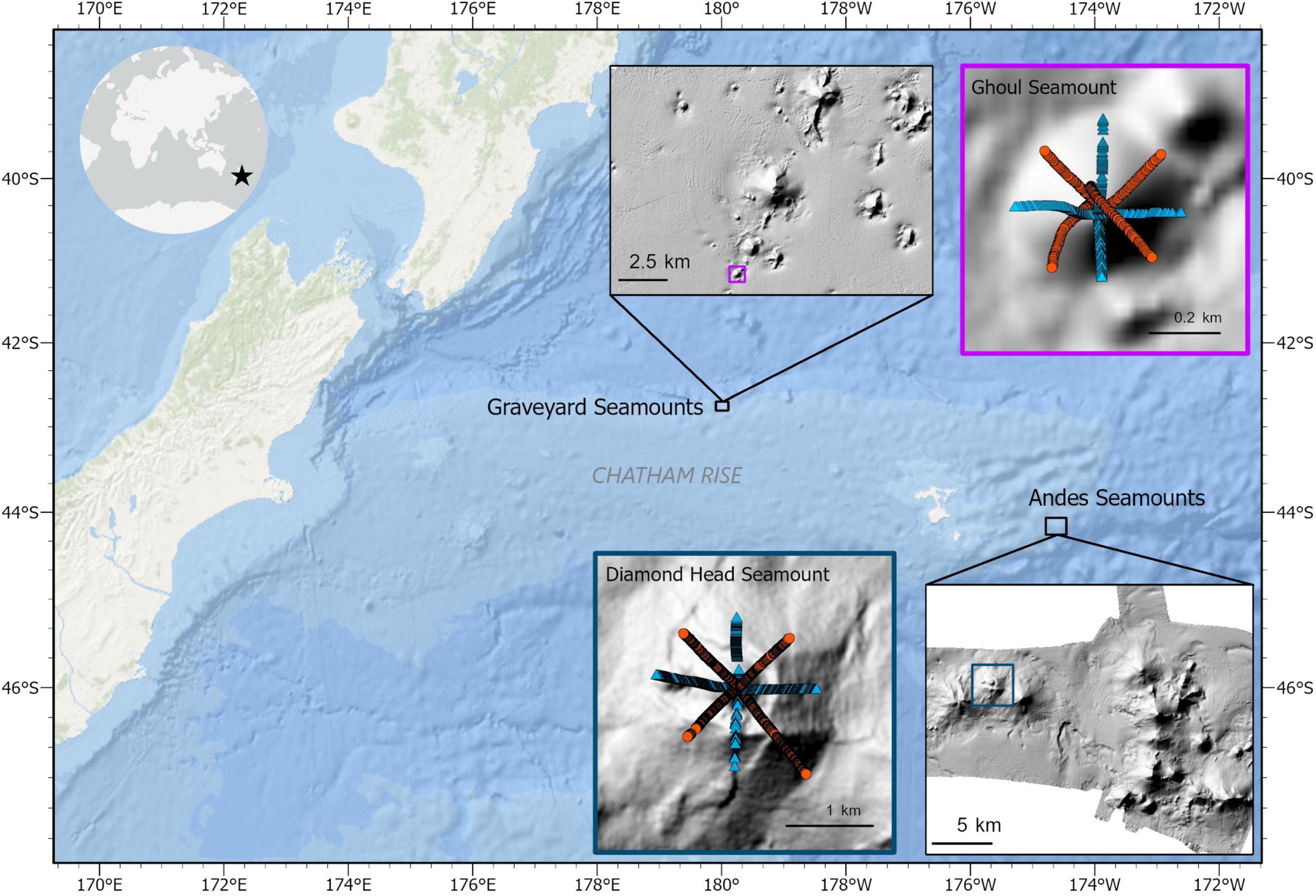 Frontiers  Fine-Scale Mapping of Mega-Epibenthic Communities and