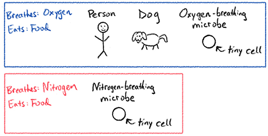 Figure 1 - Oxygen-breathing organisms (blue box) and nitrogen-breathing organisms (red box).