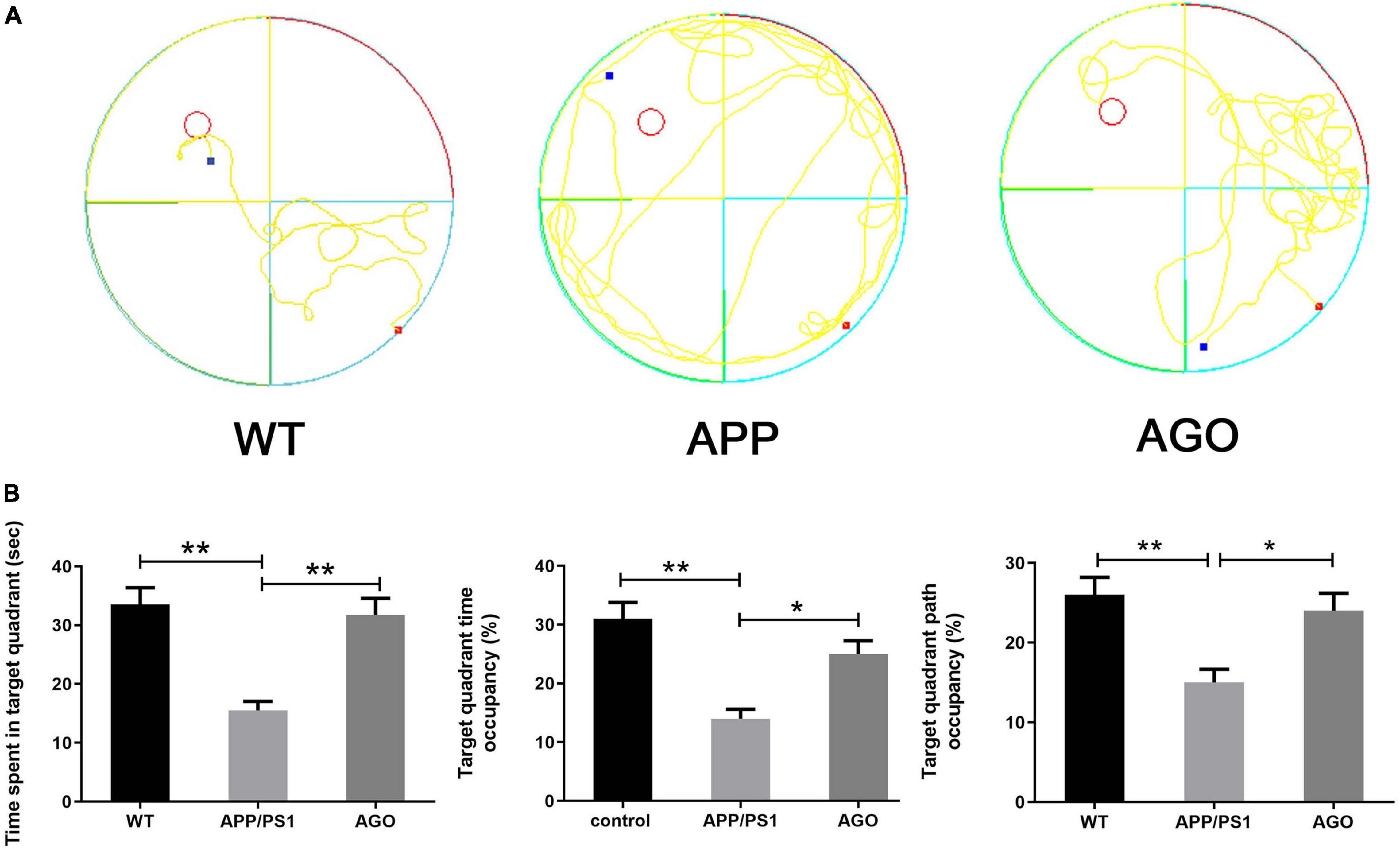 Frontiers  Agomelatine Prevents Amyloid Plaque Deposition, Tau  Phosphorylation, and Neuroinflammation in APP/PS1 Mice