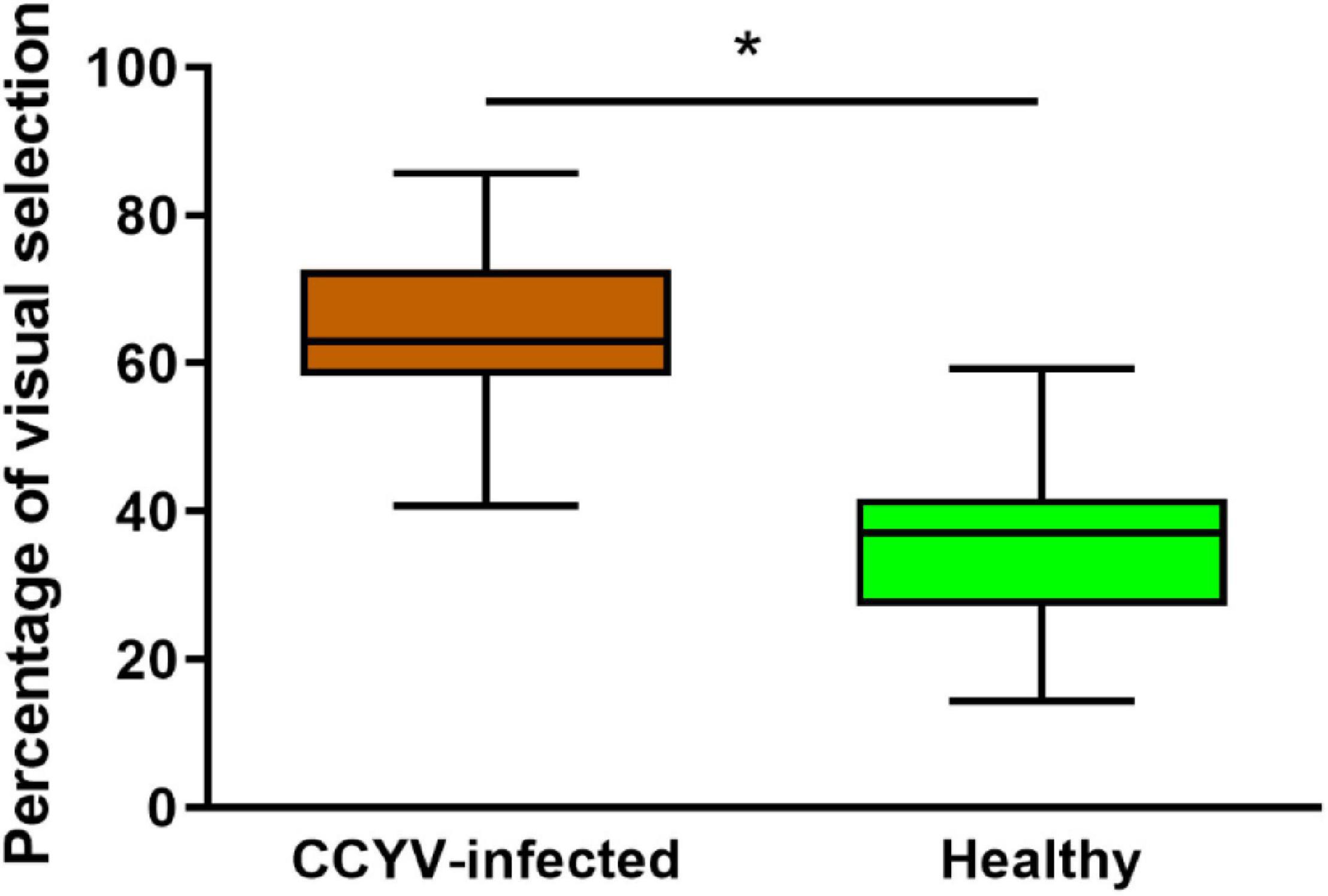 Frontiers  Changes in Visual and Olfactory Cues in Virus-Infected