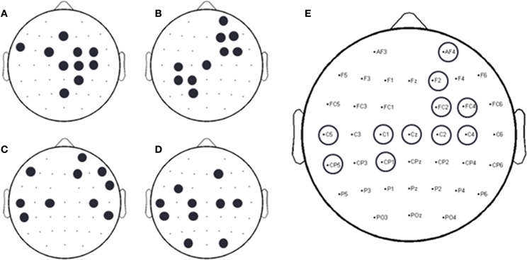 Frontiers | Neural decoding of expressive human movement from scalp ...