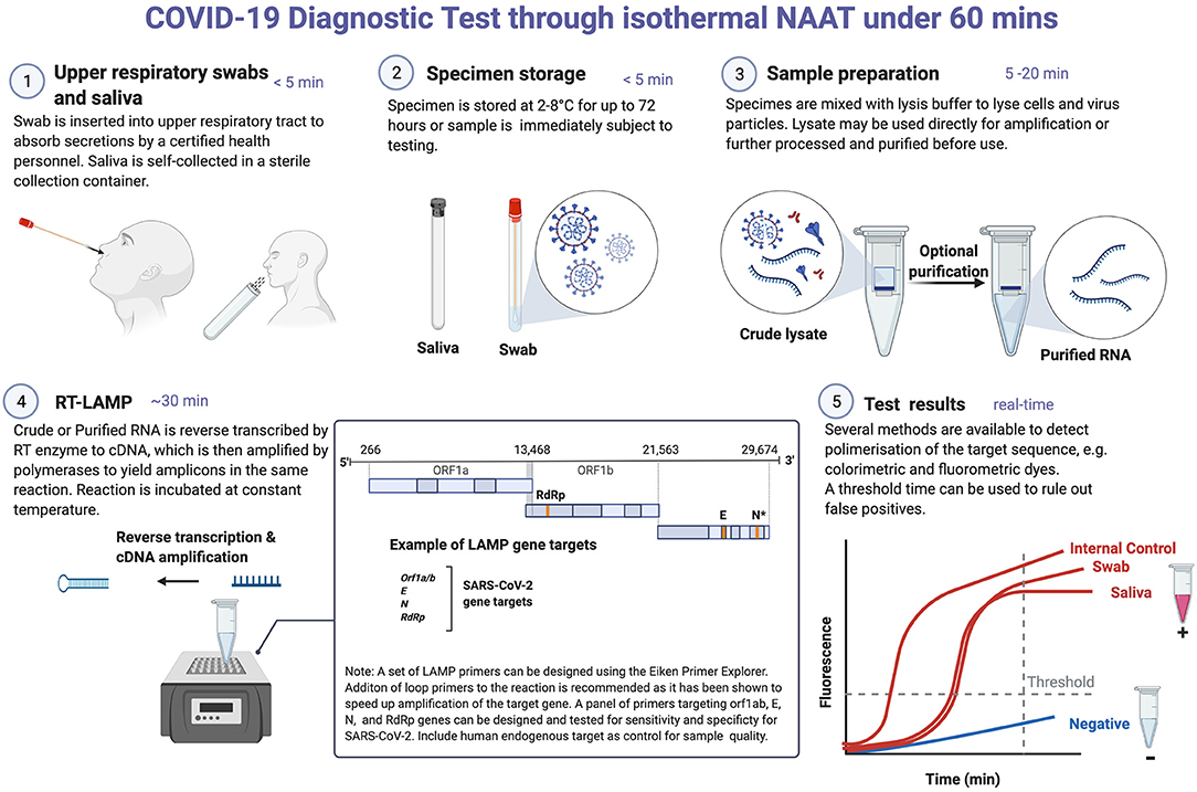 Frontiers Point Of Care Diagnostic Tools For Surveillance Of Sars Cov