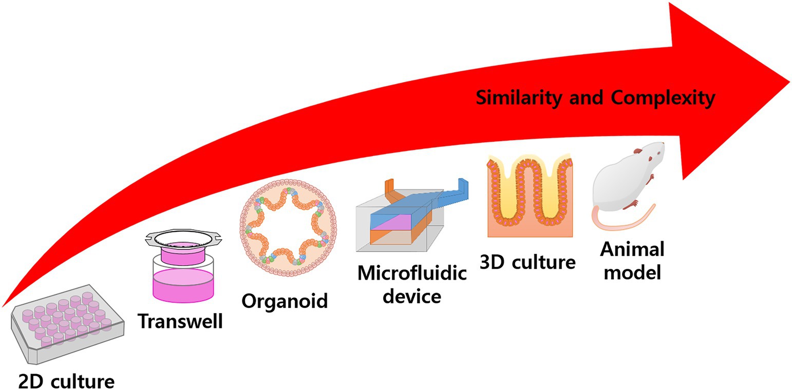 The In (vitro, vivo, silico)s and Outs of Research - InVivo Biosystems