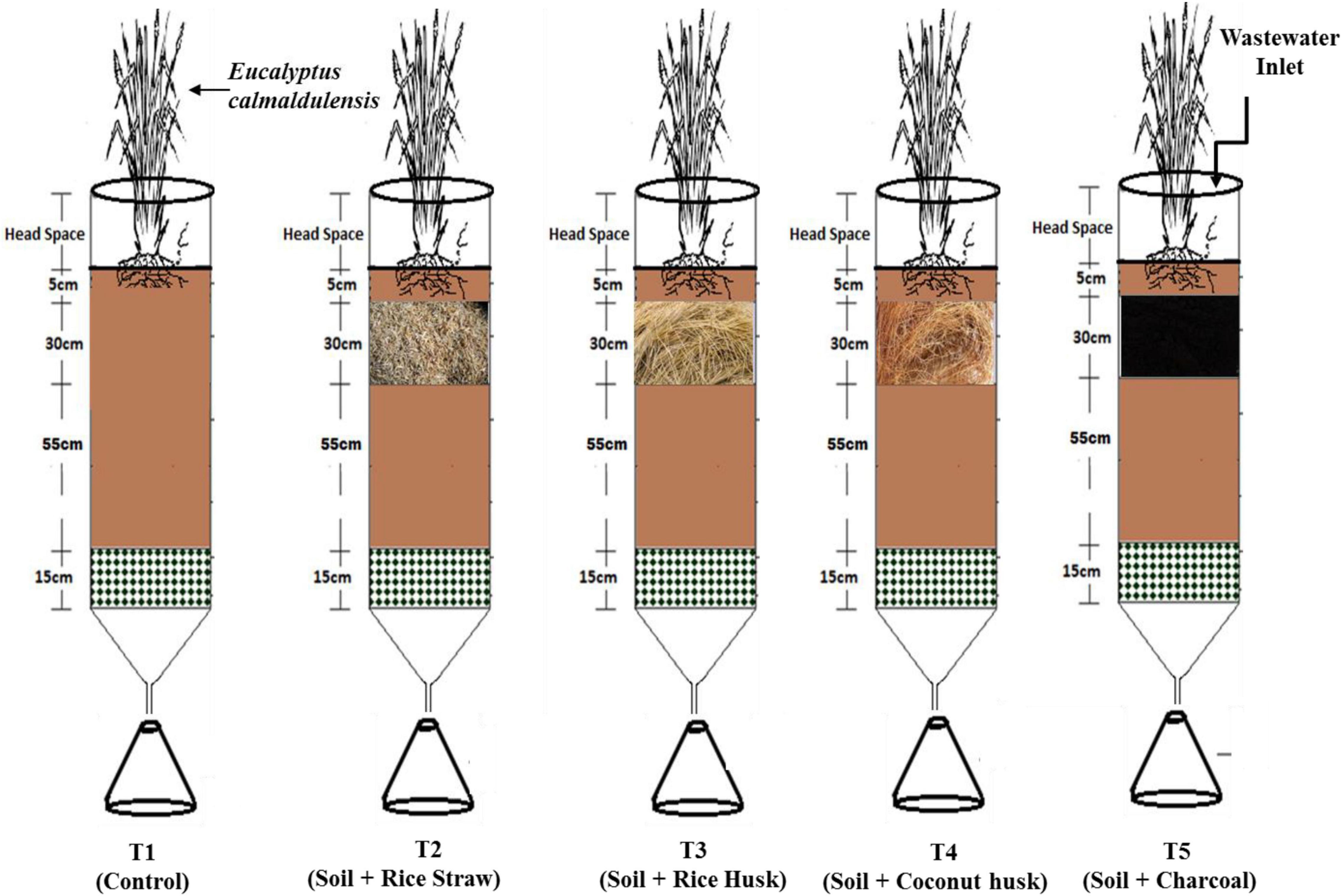 Plant derived