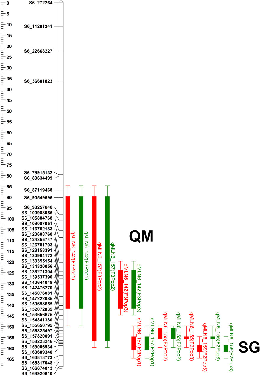 IJMS  August-2 2023 - Browse Articles