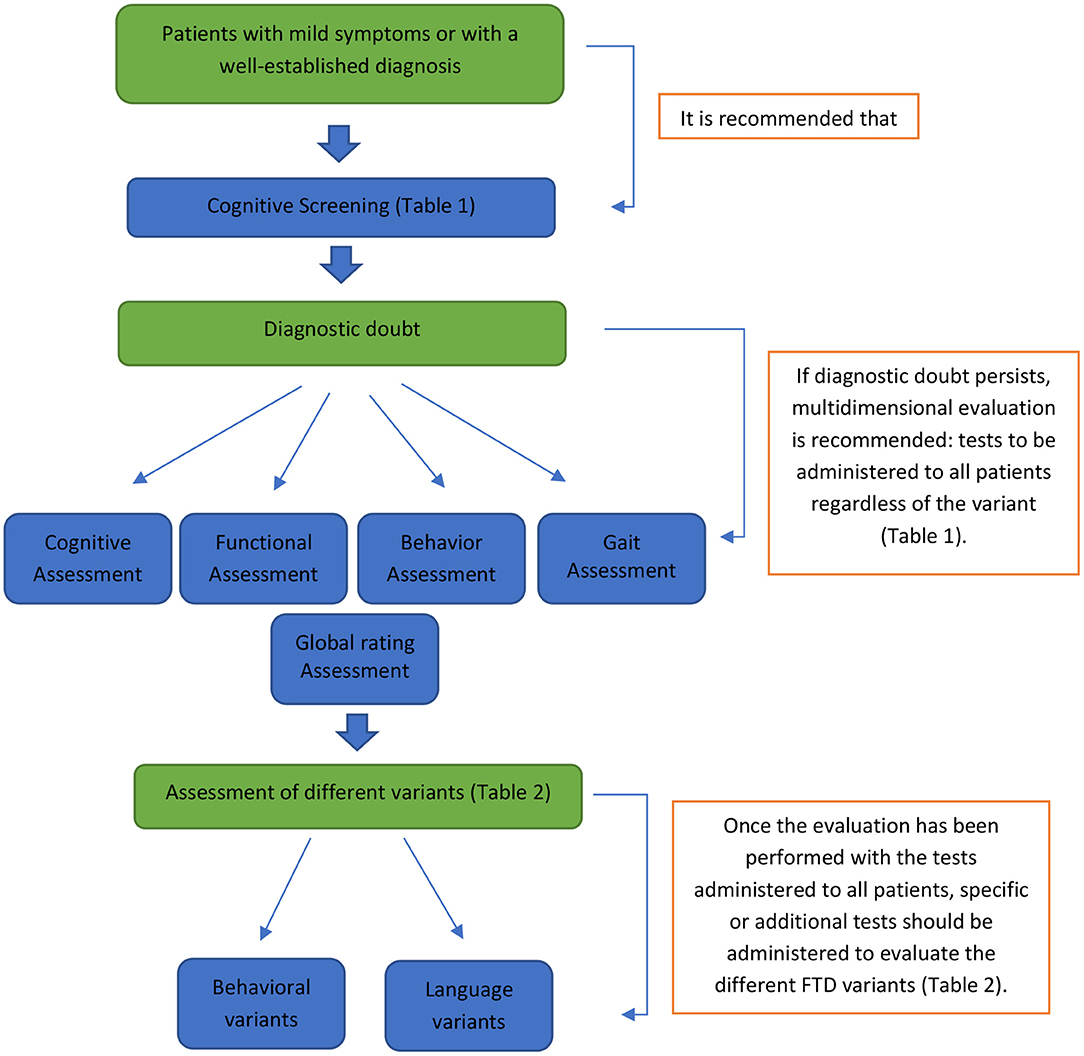 Frontiers  Behavioral and neuropsychiatric challenges across the