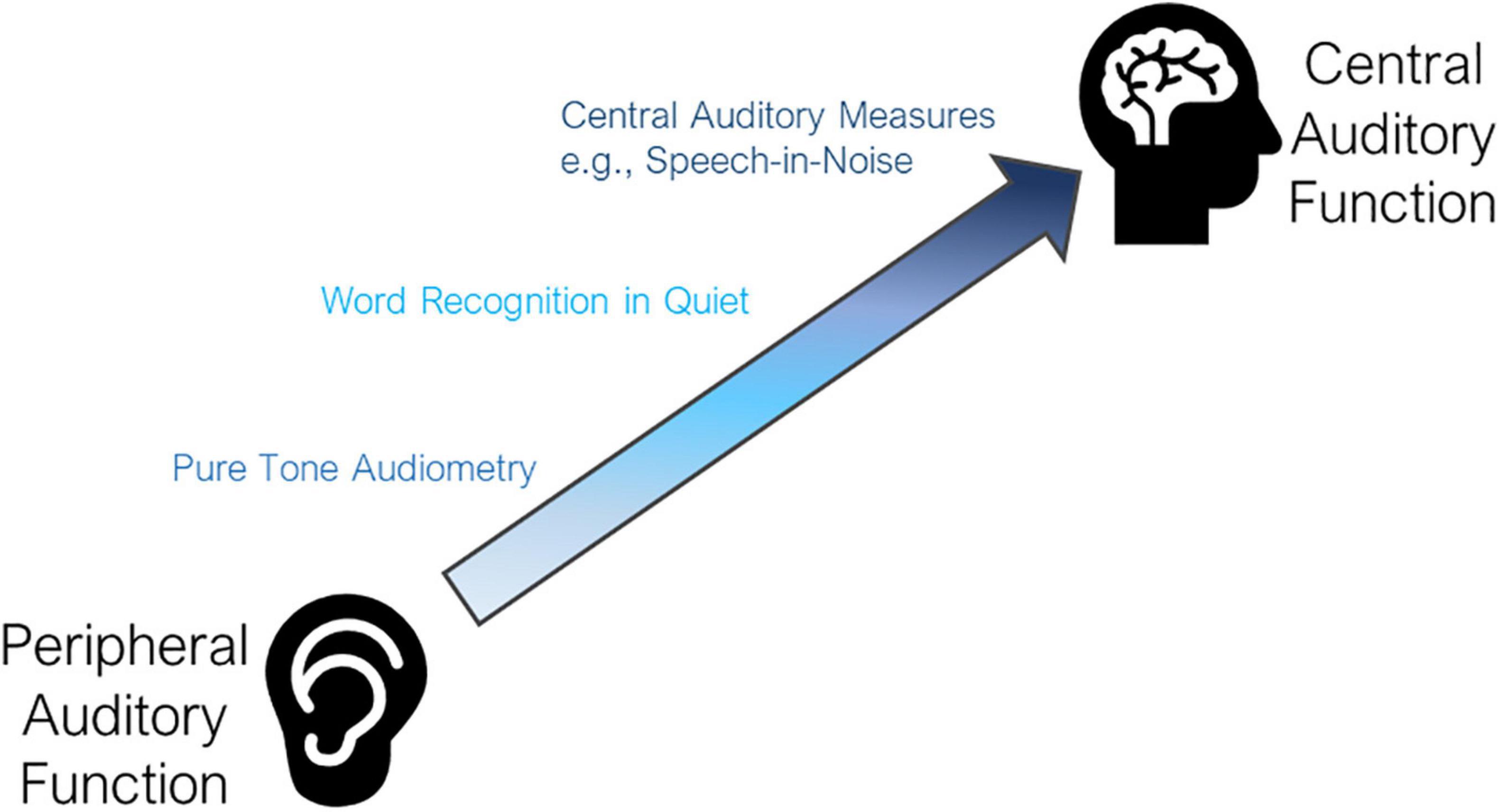 Hearing aid care – MIND