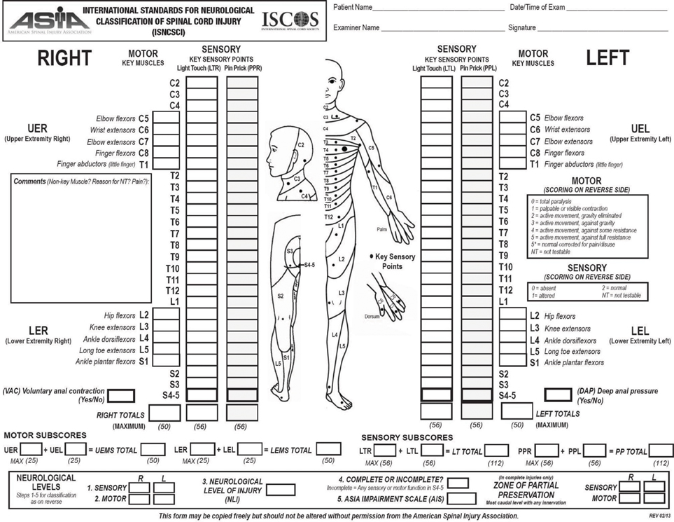 ebook respiratory muscles in chronic obstructive pulmonary disease