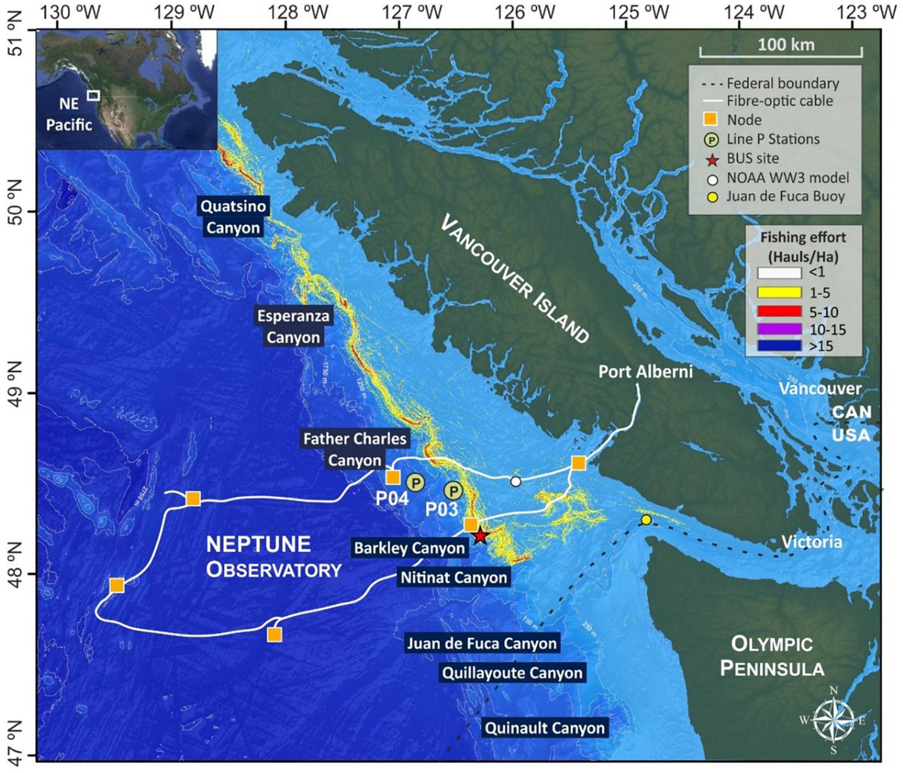 Frontiers  Influence of Natural Processes and Bottom Trawling in the  Nepheloid Layer Structure Off Vancouver Island (British Columbia, Canada,  NE Pacific)
