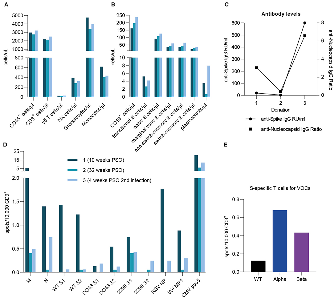 Frontiers | Long-Lasting Immunity Against SARS-CoV-2: Dream or Reality?