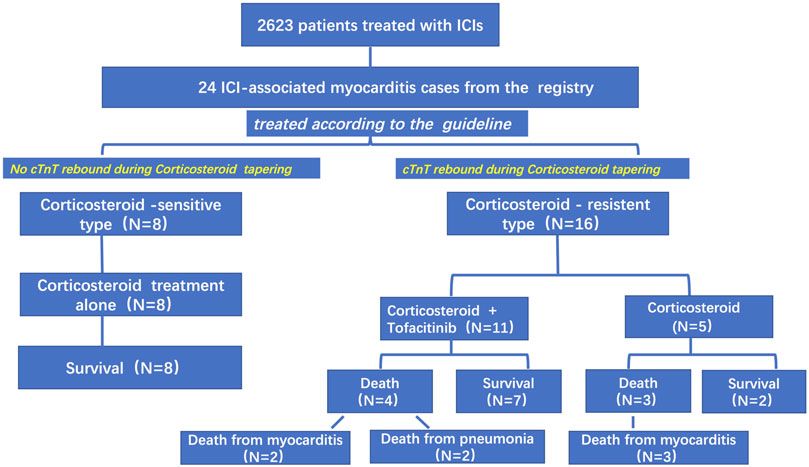 Frontiers | Case Series of Steroid-Resistant Immune Checkpoint ...