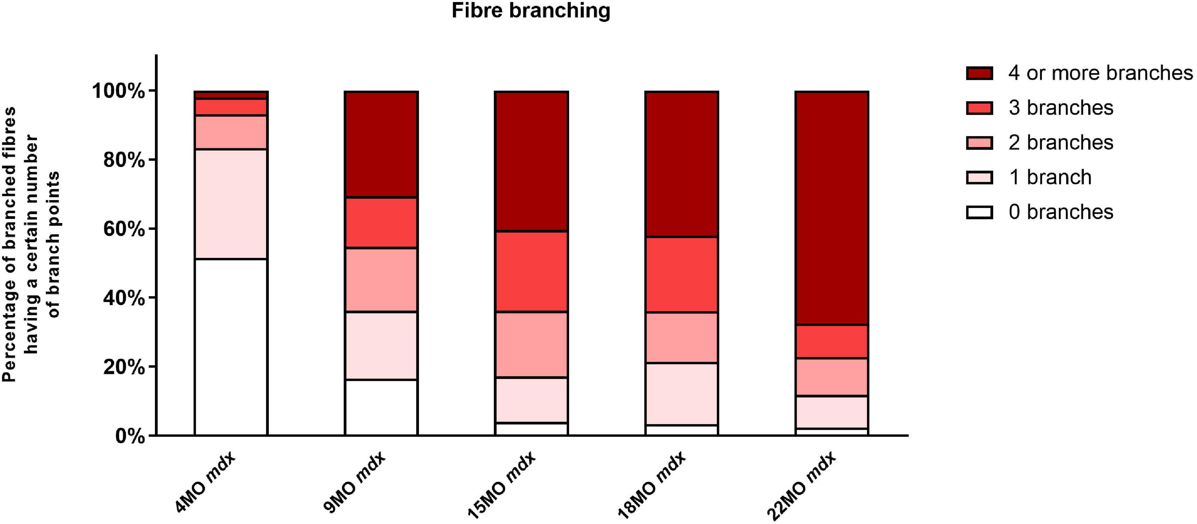 Level Re-completions by Condition. Branching Levels significantly