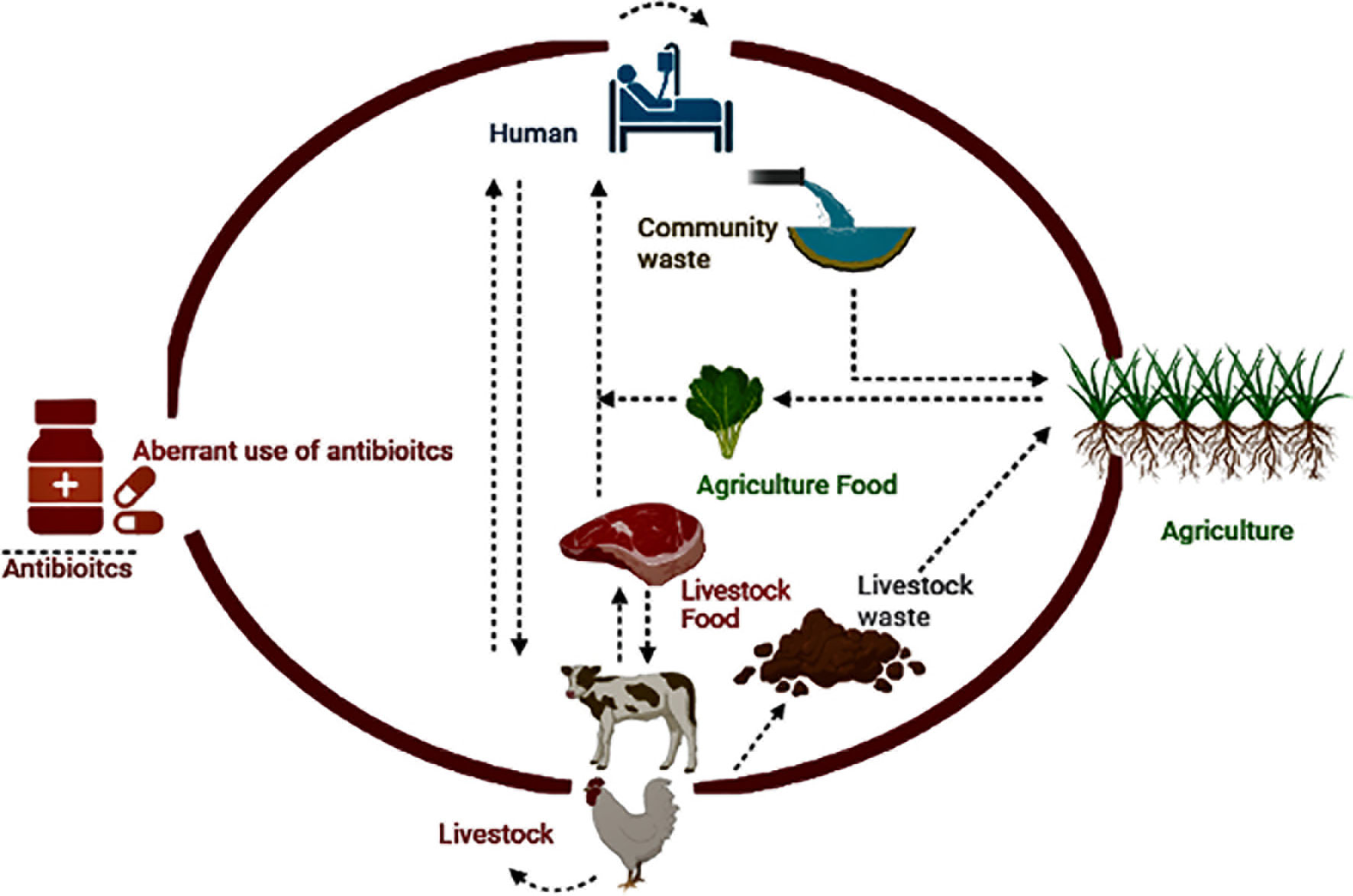 Frontiers | Antibiotic Resistance: One Health One World Outlook