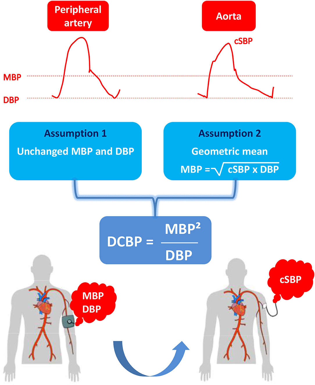 Frontiers | New Method to Estimate Central Systolic Blood Pressure From  Peripheral Pressure: A Proof of Concept and Validation Study