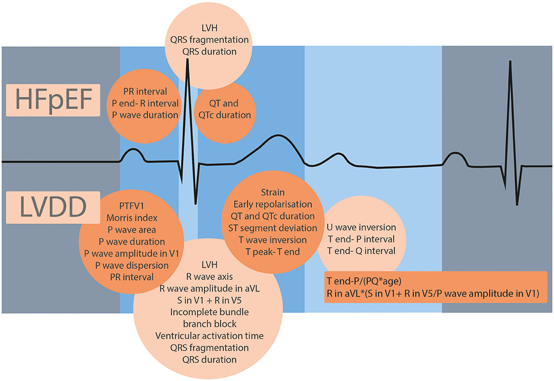 Should We Test for Diastolic Dysfunction? How and How Often