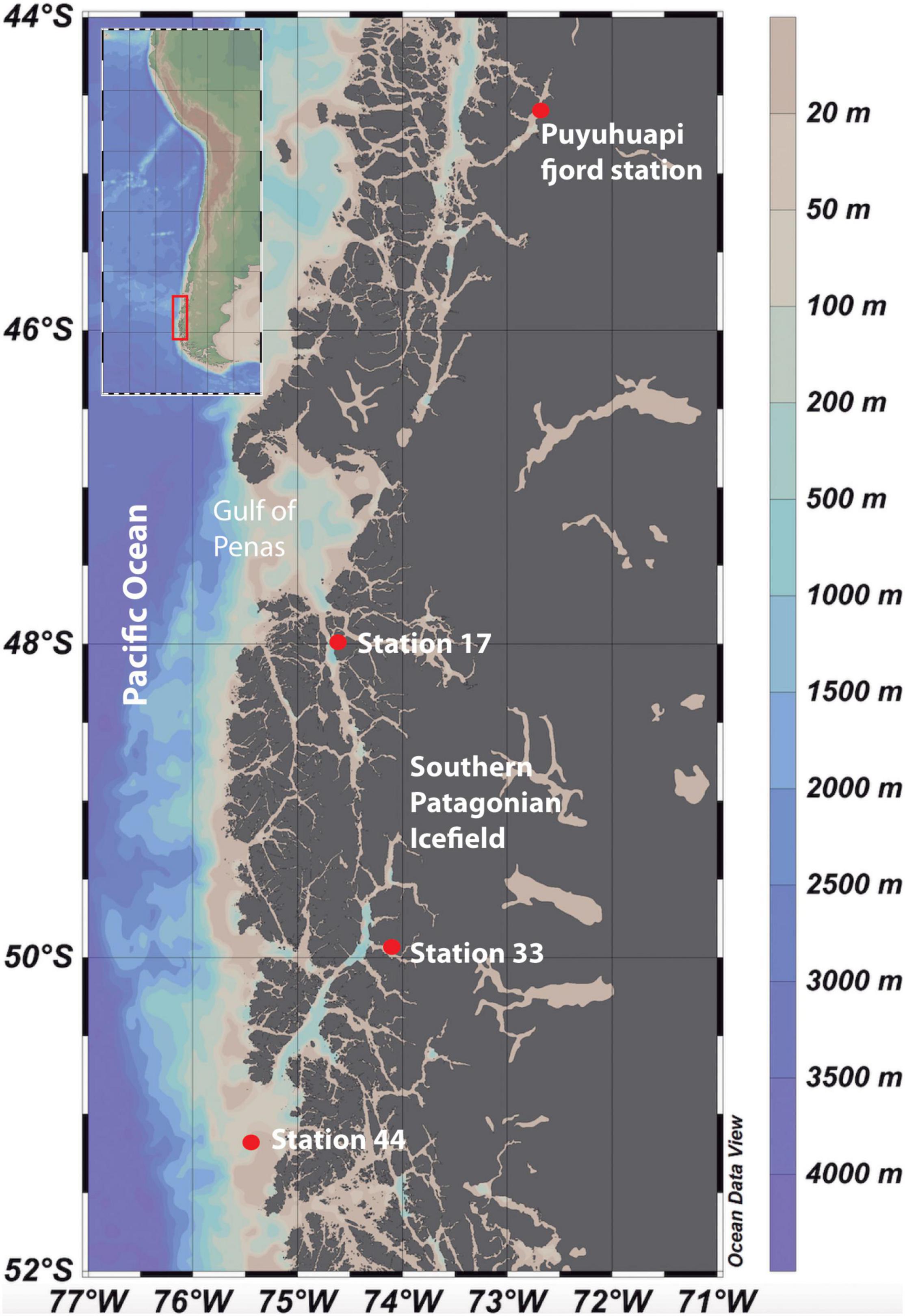 Frontiers | The Effect of Salmon Food-Derived DOM and Glacial Melting on Activity and Diversity of Free-Living Bacterioplankton in Chilean Fjords