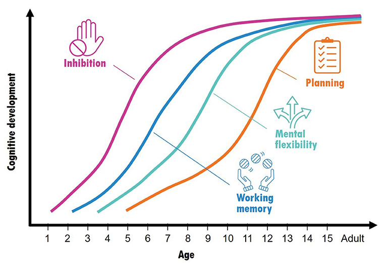Executive function online development age