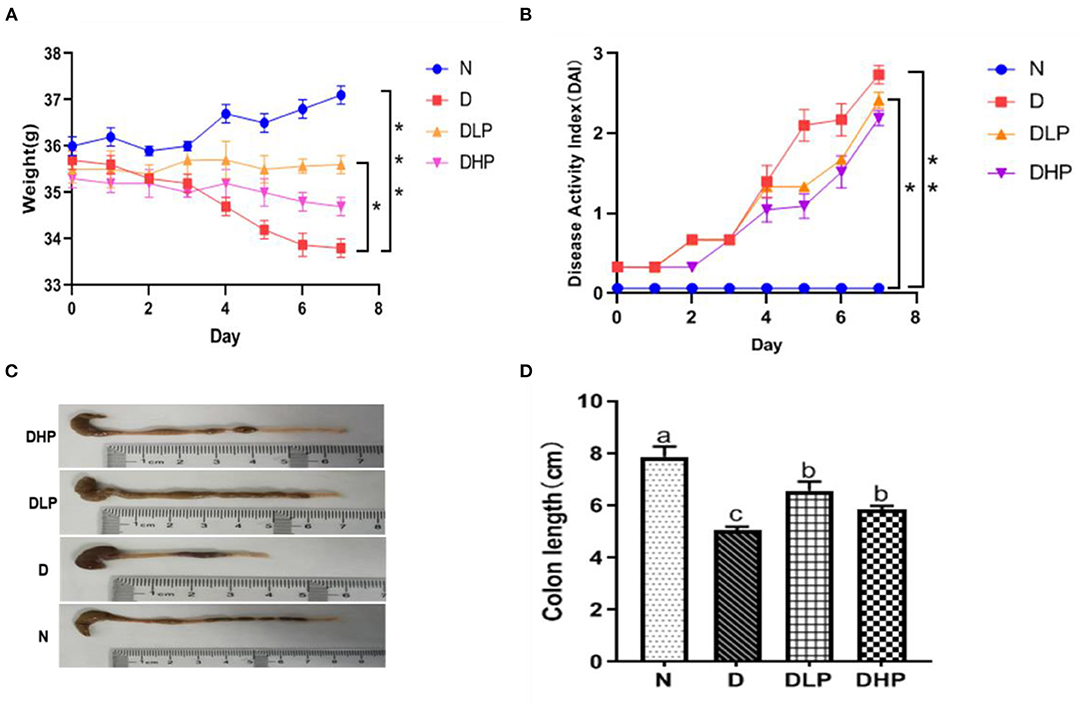 Frontiers | Protective Effects of Shrimp Peptide on Dextran Sulfate ...